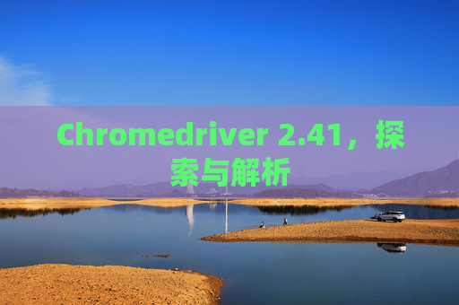 Chromedriver 2.41，探索与解析