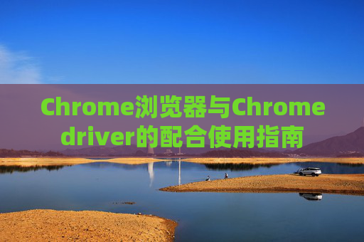 Chrome浏览器与Chromedriver的配合使用指南